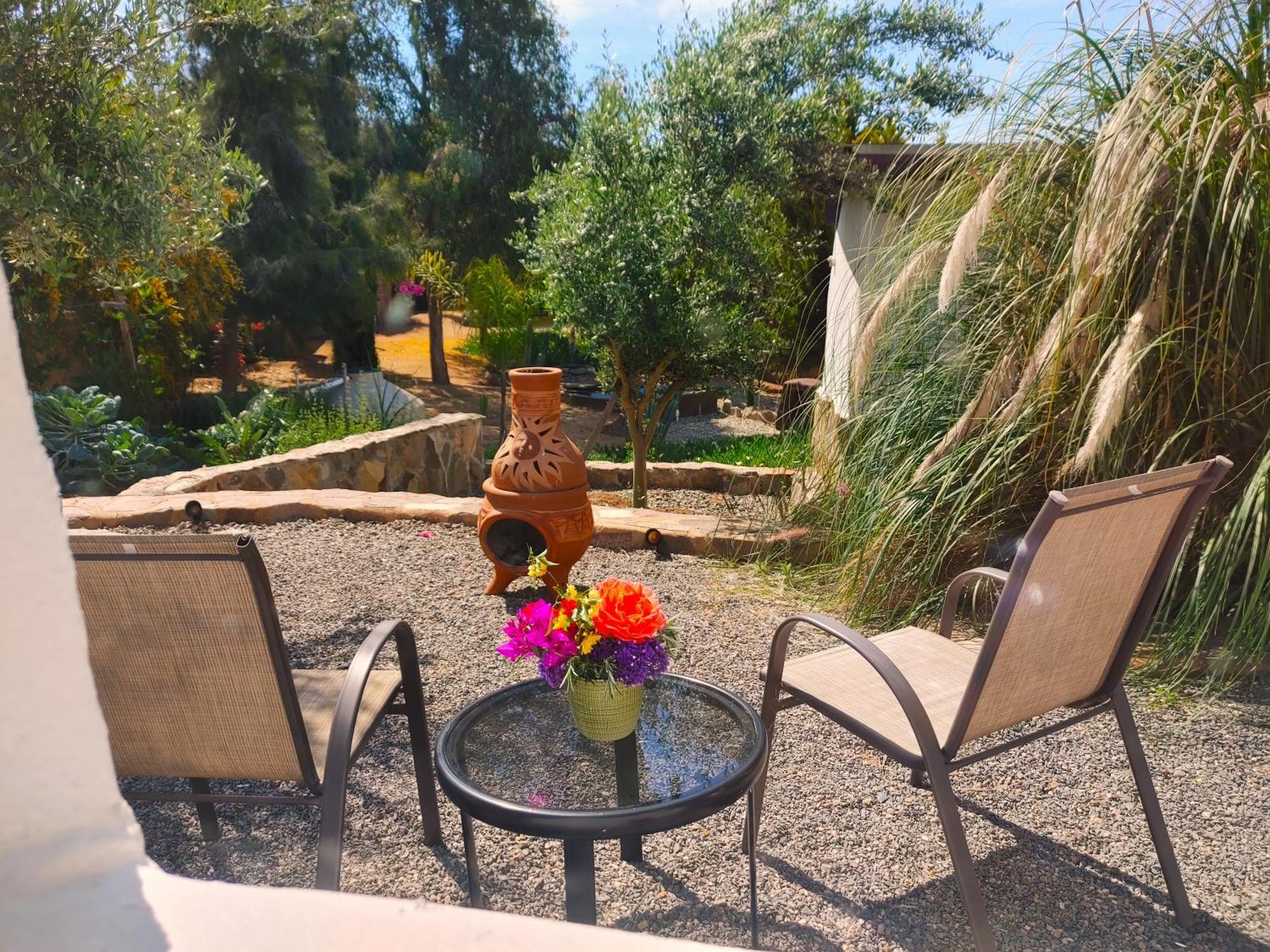Hacienda Eco-Domes Villa Valle de Guadalupe Bagian luar foto