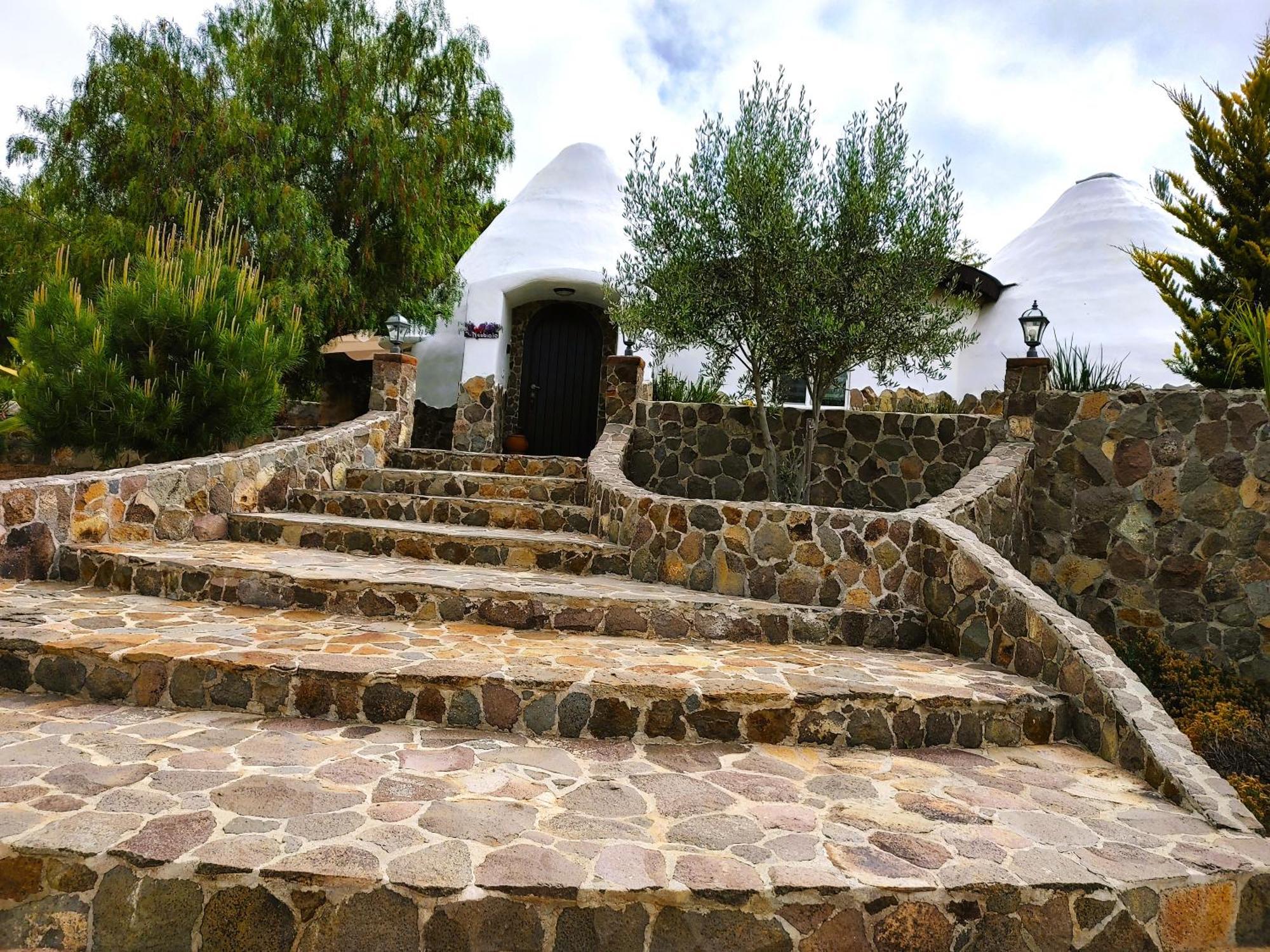 Hacienda Eco-Domes Villa Valle de Guadalupe Bagian luar foto