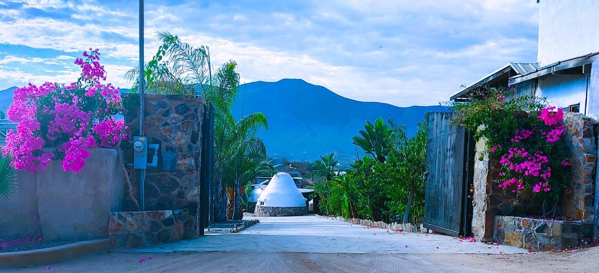 Hacienda Eco-Domes Villa Valle de Guadalupe Bagian luar foto
